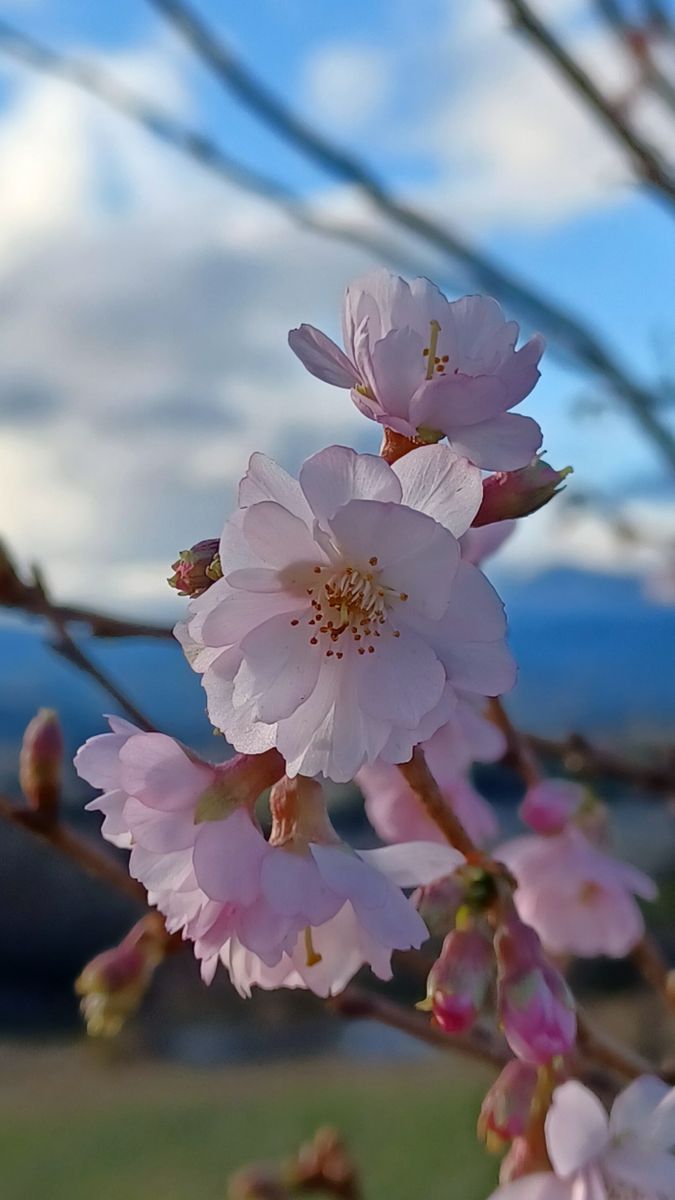 気になってた高台に行ってみた😃