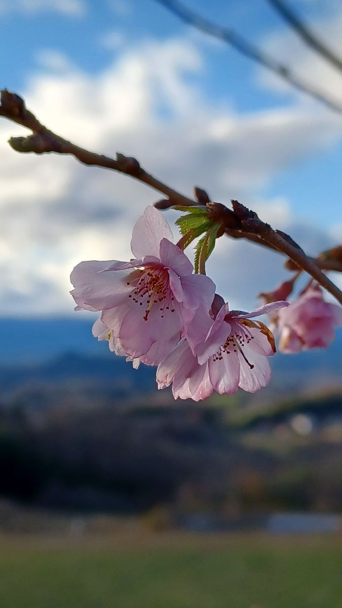 気になってた高台に行ってみた😃