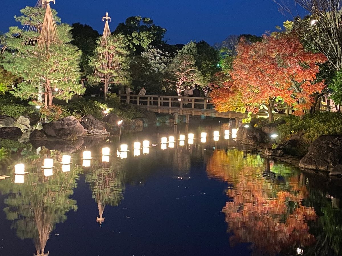 白鳥庭園の紅葉🍁