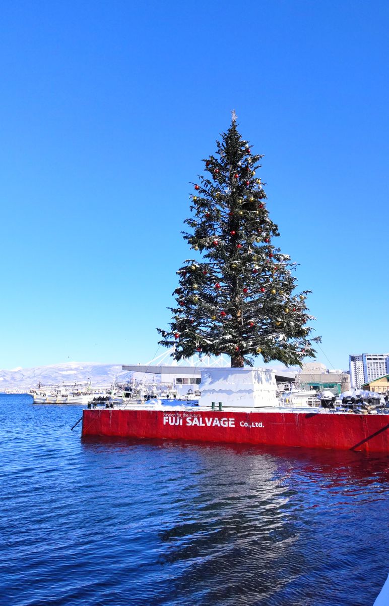 函館ベイエリアのツリー🎄