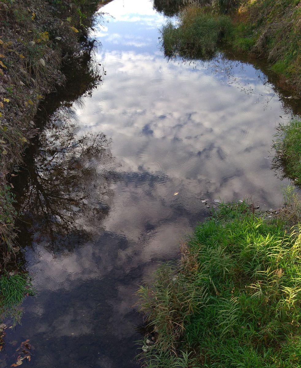 ☁✨川面に映り込む、うろこ雲✨☁