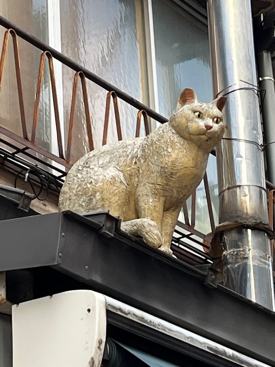 谷中銀座の猫