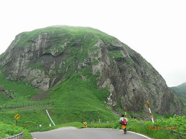 礼文島に行ってきました