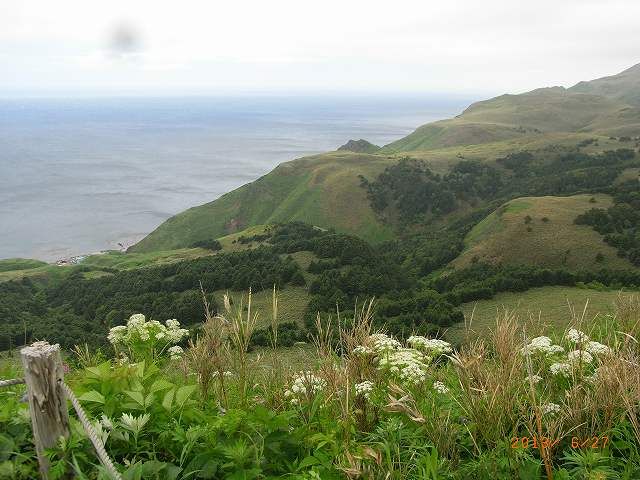 礼文島に行ってきました