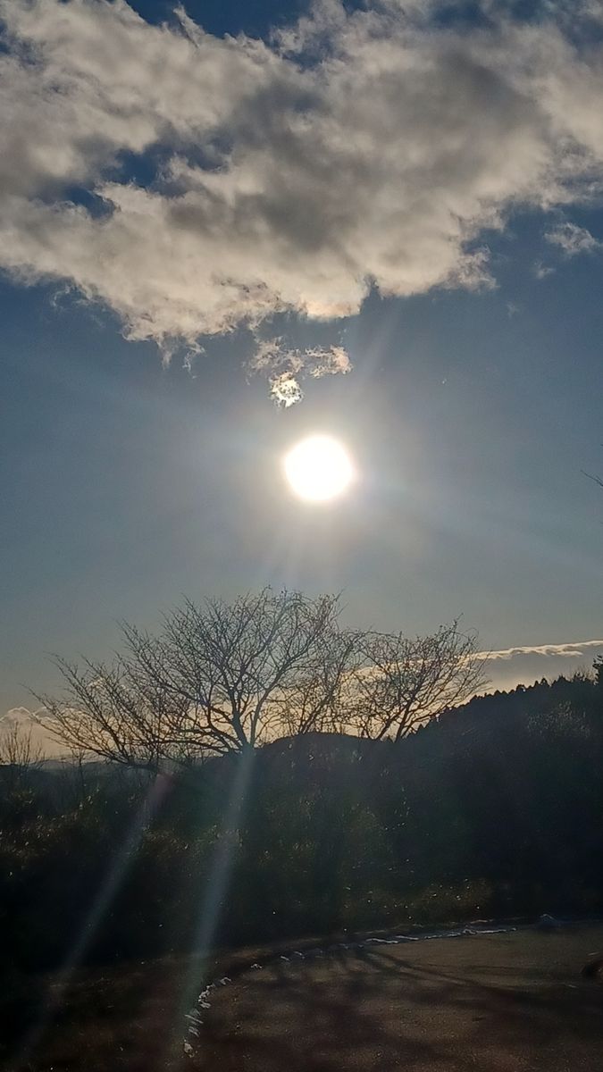 旅立ちの時？　&　夕景