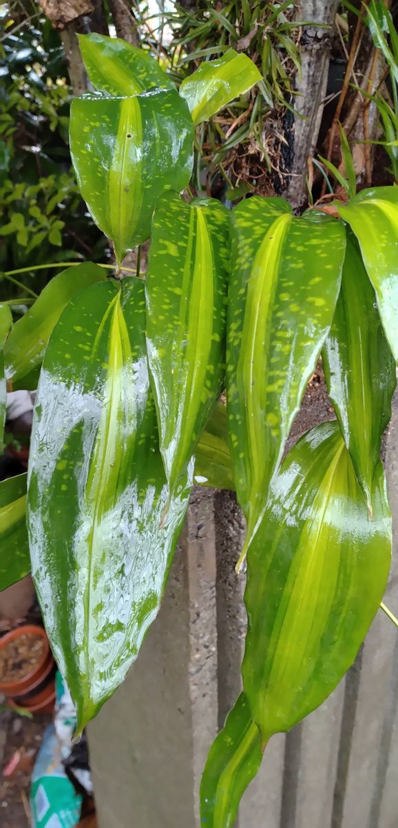 ❝寒九の雨☔〜