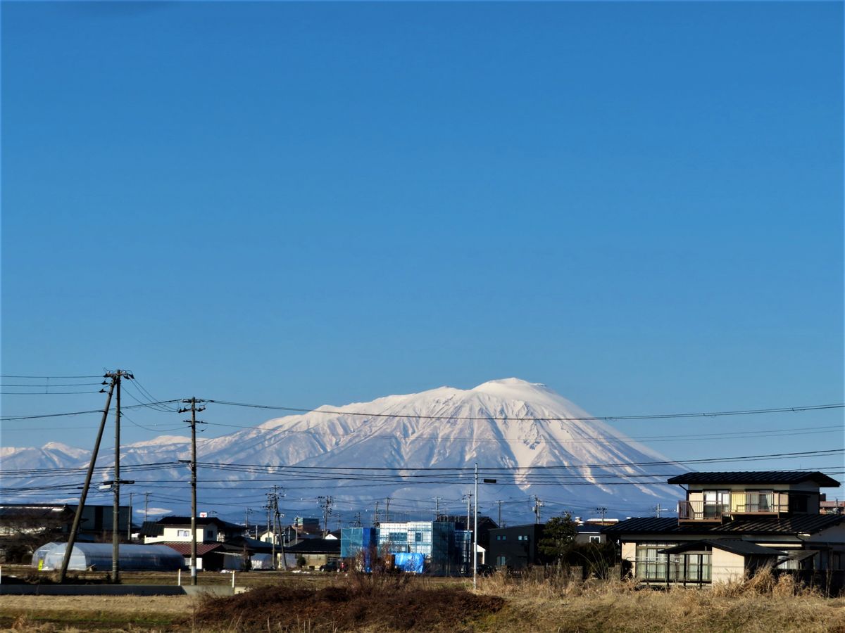 園芸日記