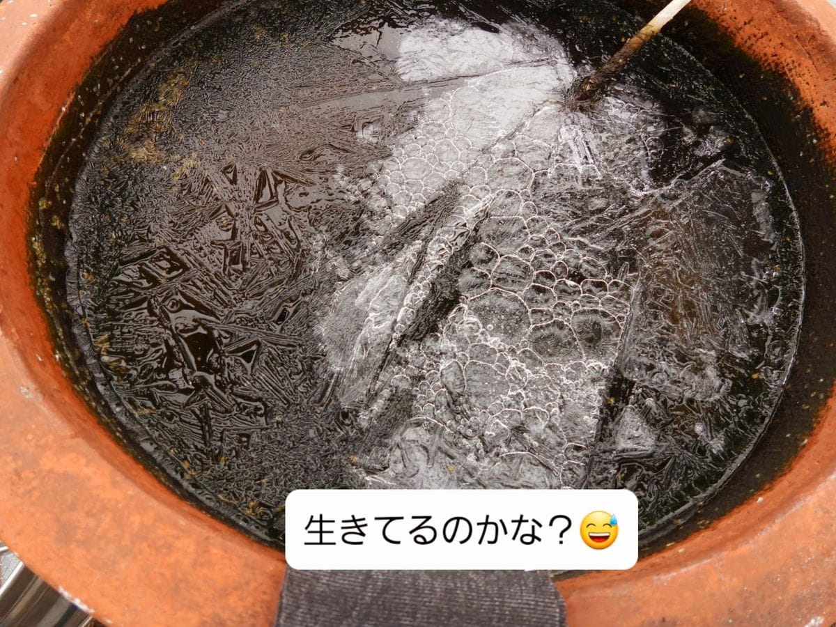 かなり分厚い氷が張ってます 😅