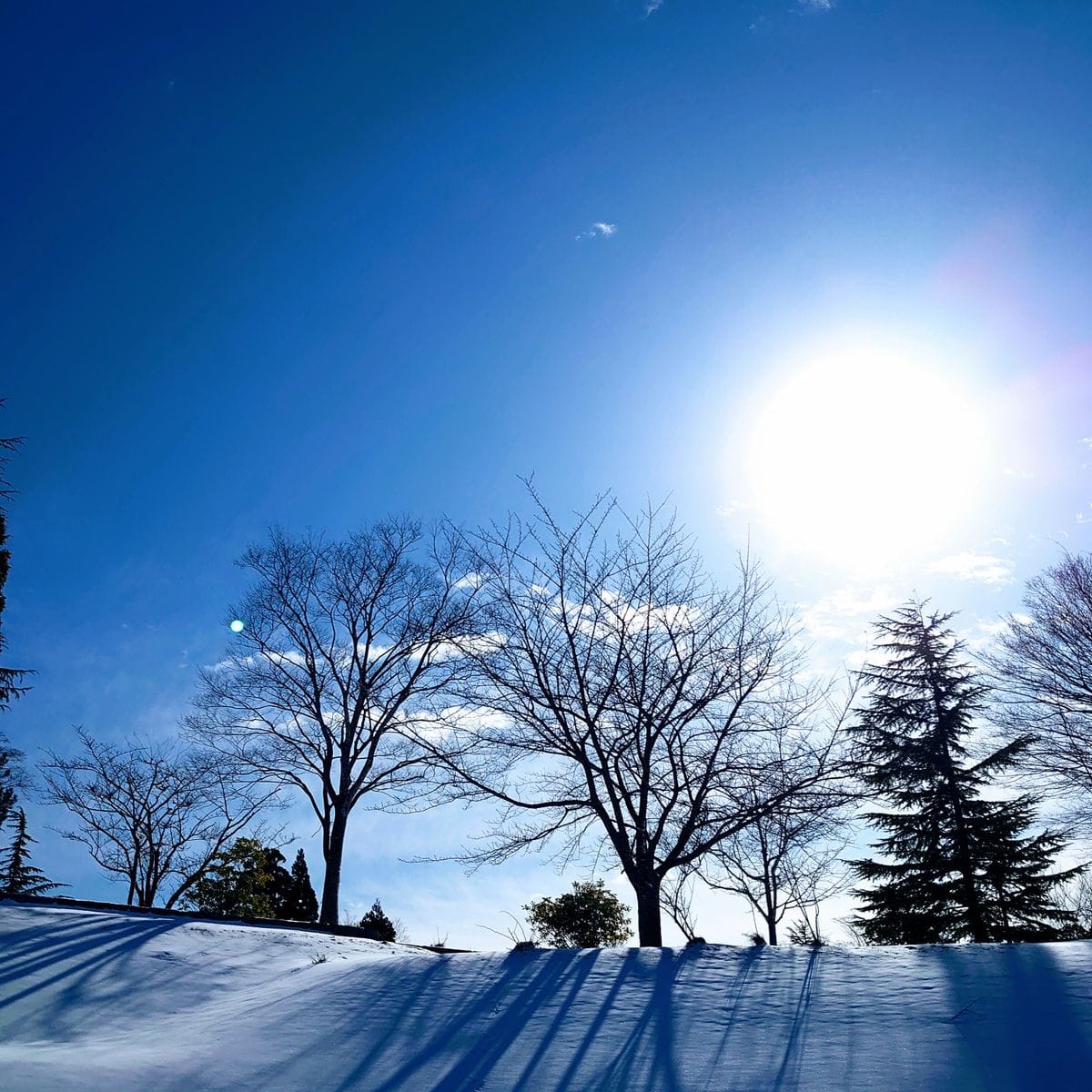 素晴らしい青空と雪✧⁠◝⁠(⁠⁰⁠▿⁠⁰⁠)⁠◜⁠✧