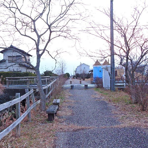 散歩道にて～冬枯れ