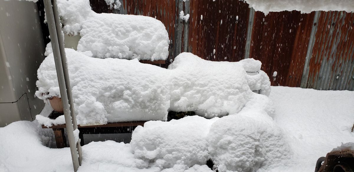 豪雪のため園芸は休憩