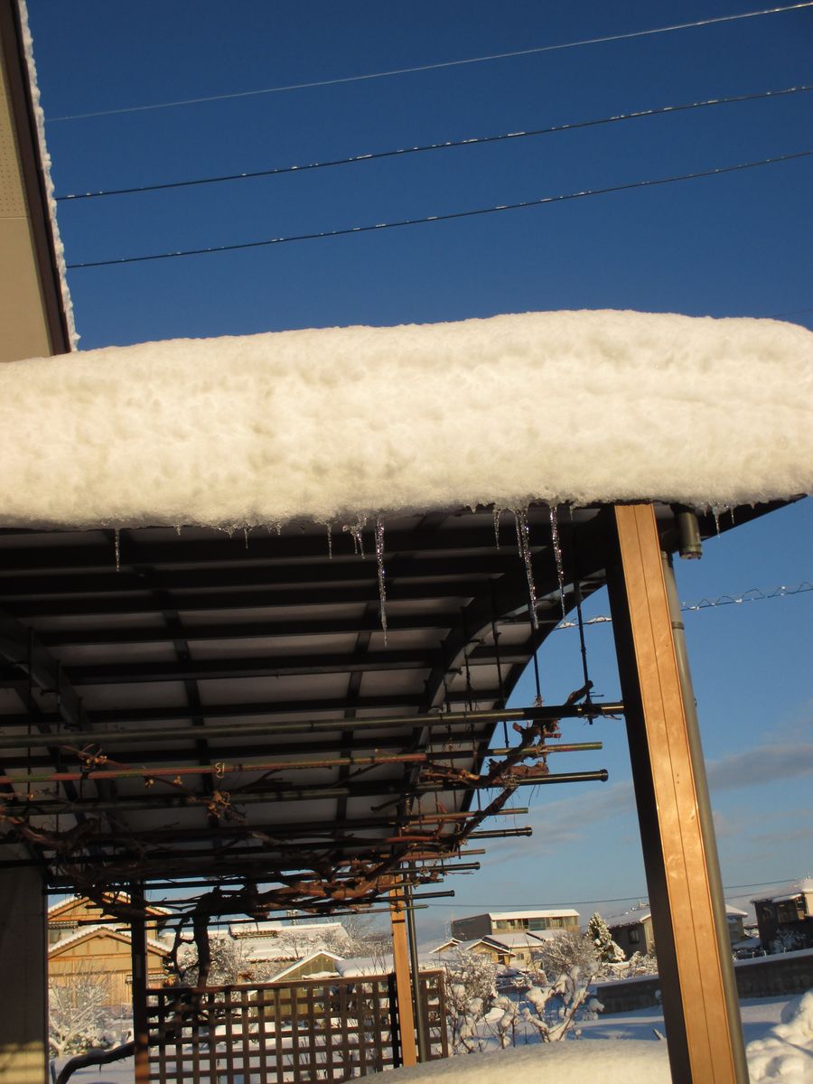 雪＆青空