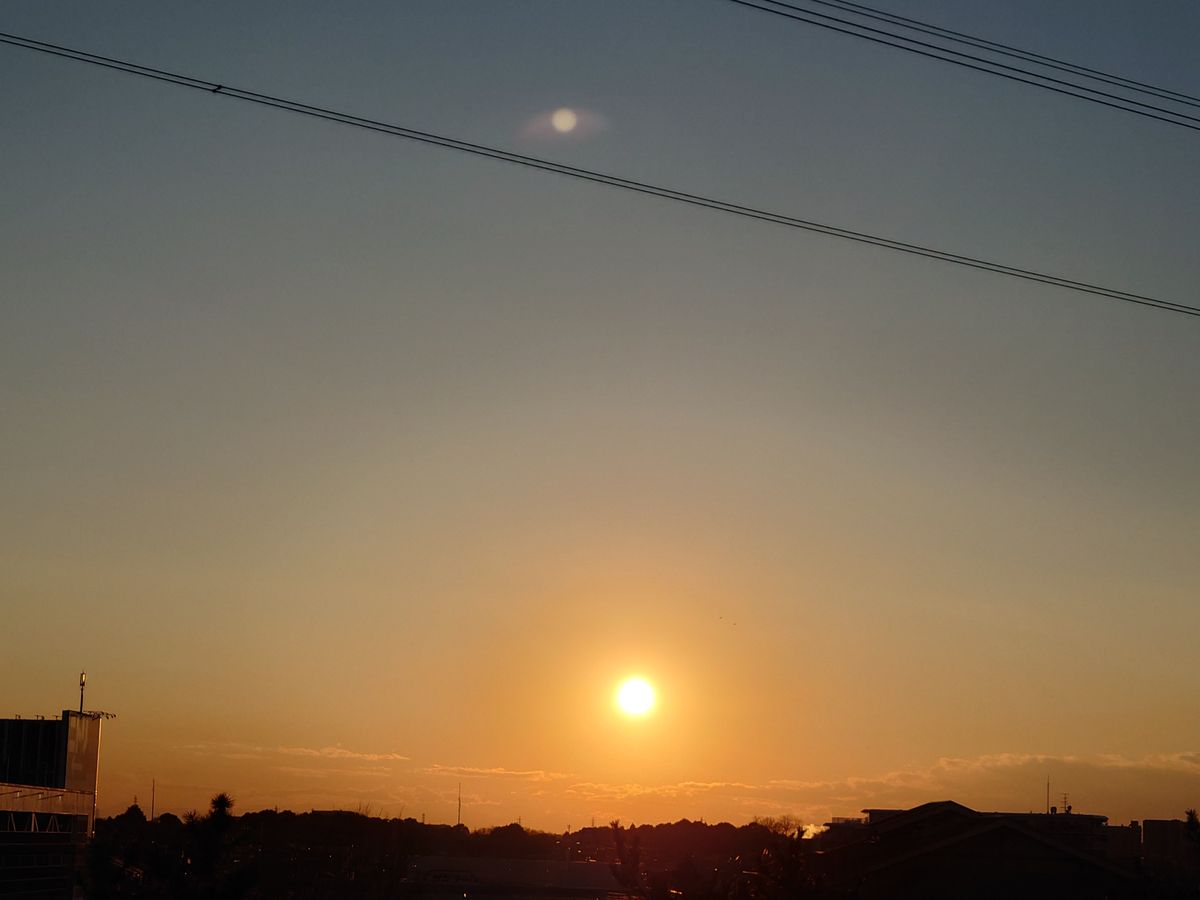 サボテン🌵と空　１月２９日の空