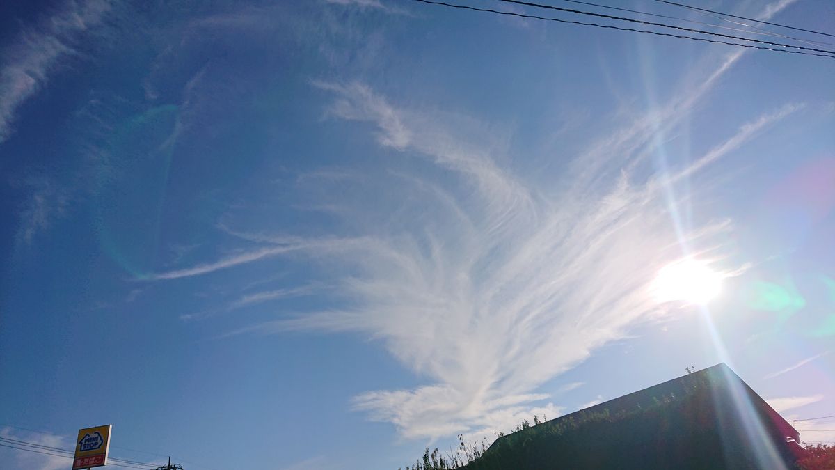 サボテン🌵と空　１月３１日