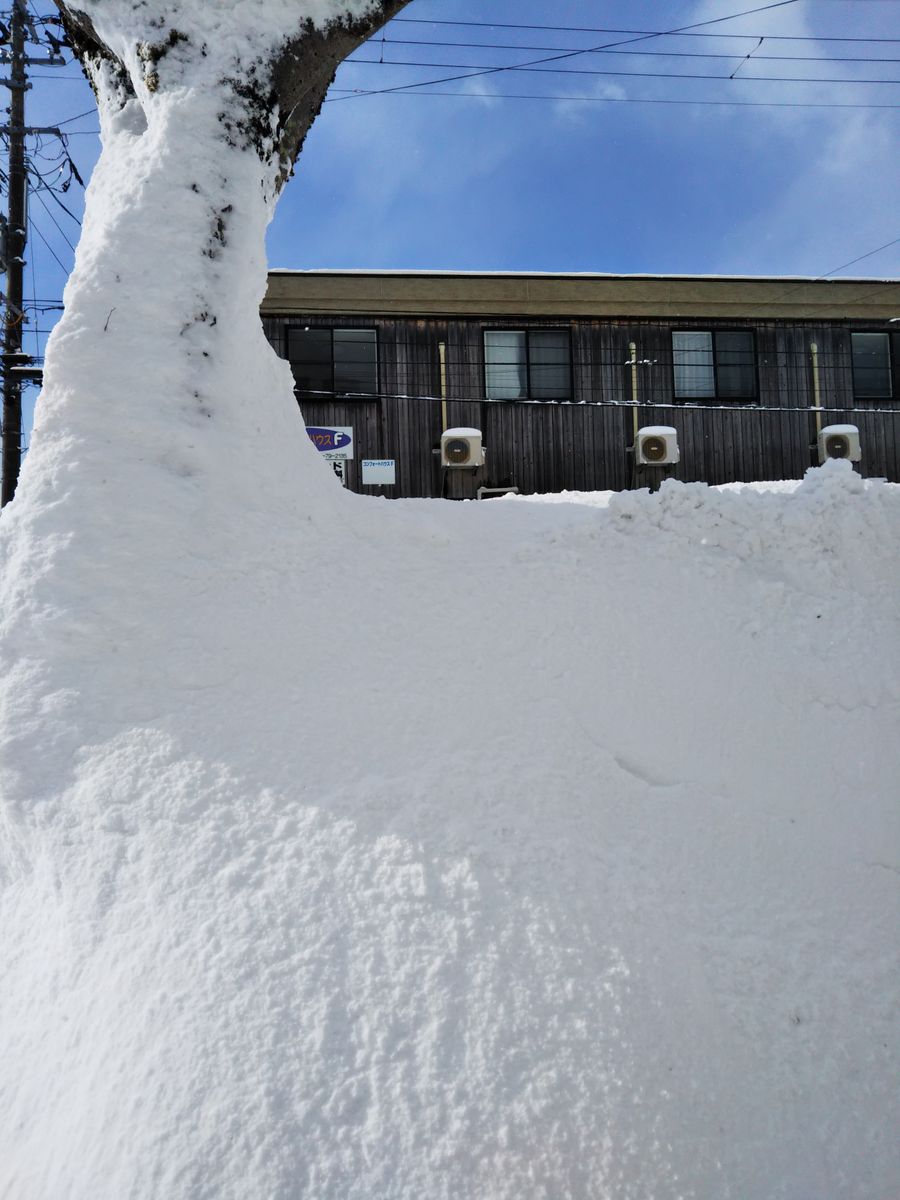 朝３時半から雪掻車で、うるさいよ