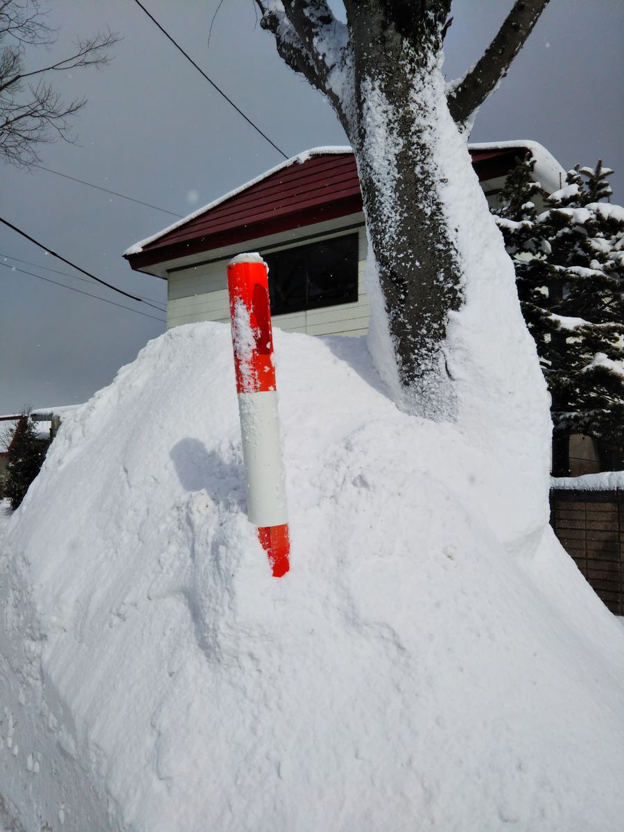 朝３時半から雪掻車で、うるさいよ