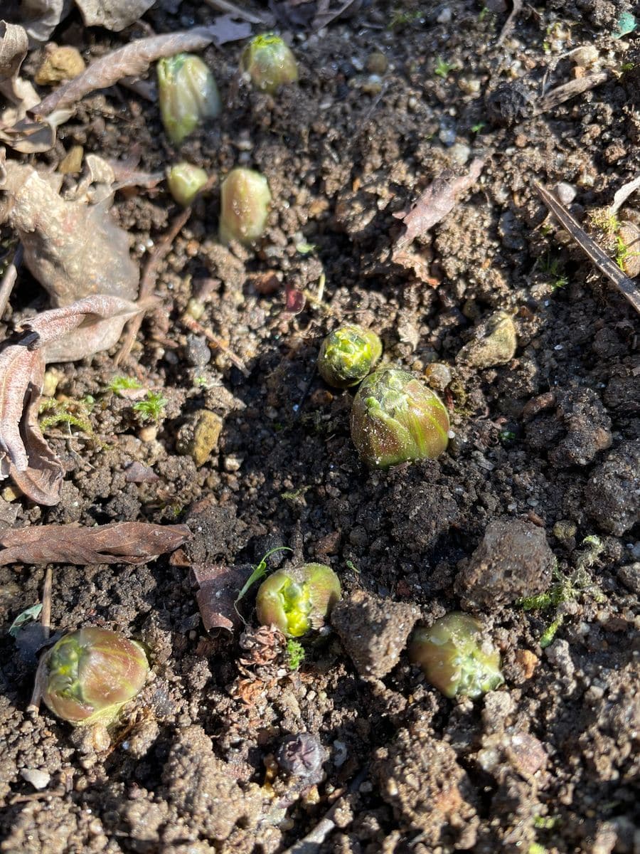 植物園前31番札所にて