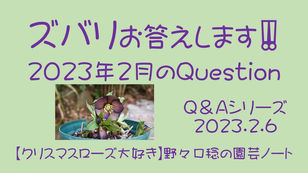 YouTube【ズバリお答えします‼️ 2023年2月のQuestion】