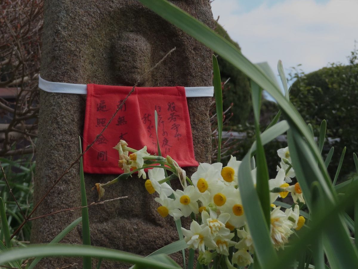 般若寺の水仙