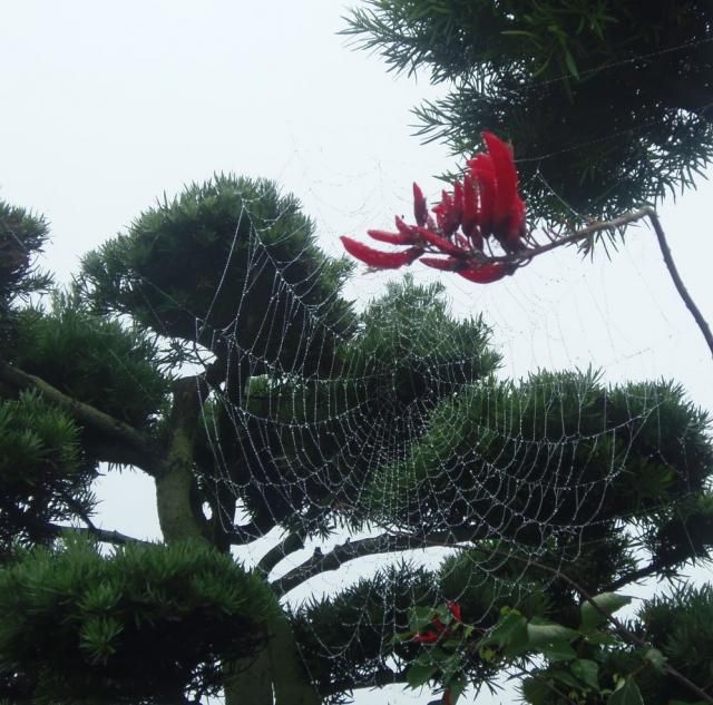 ウォーキング１５２日目