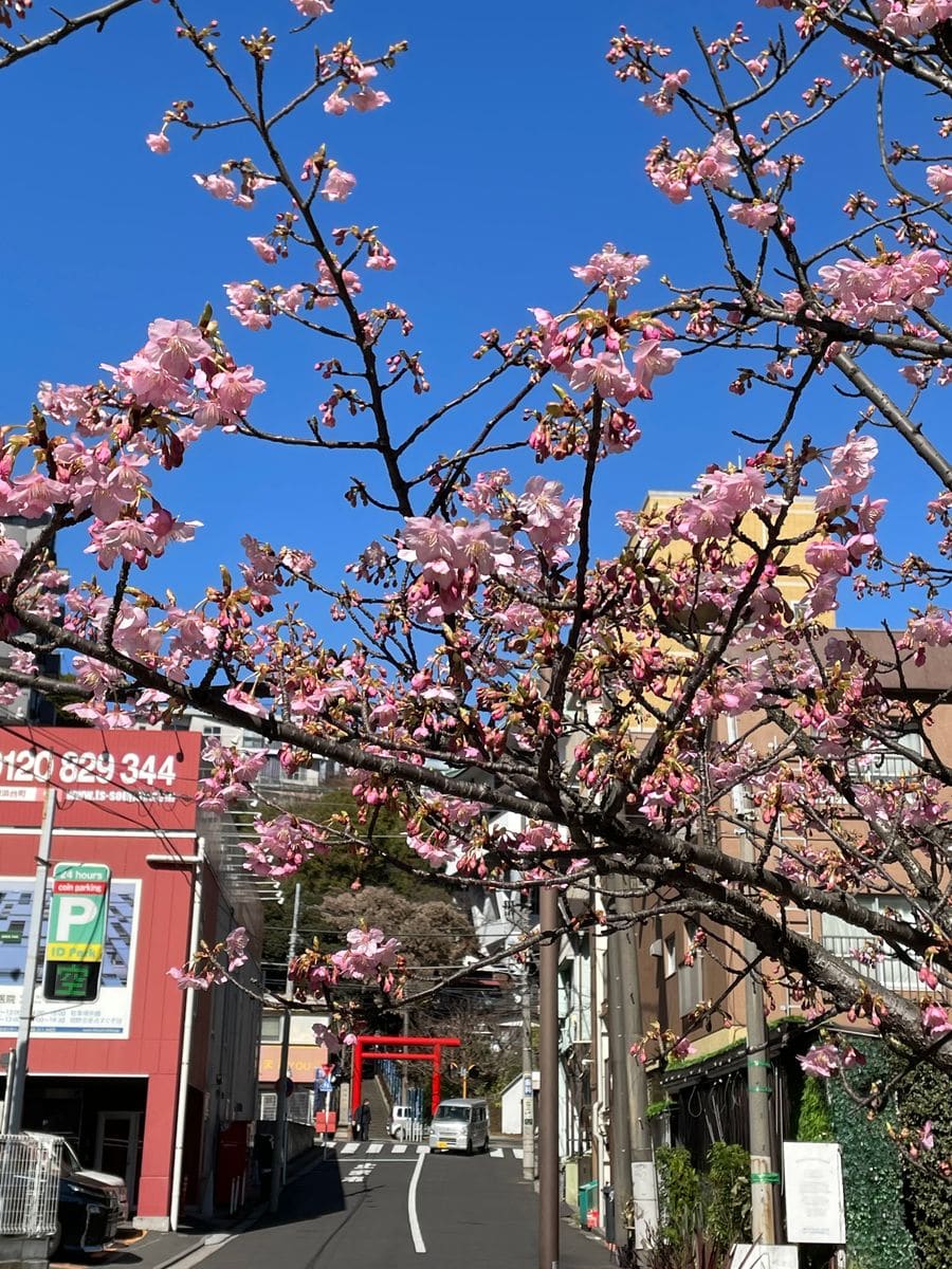 気持ちの上がらない2月ですが、、