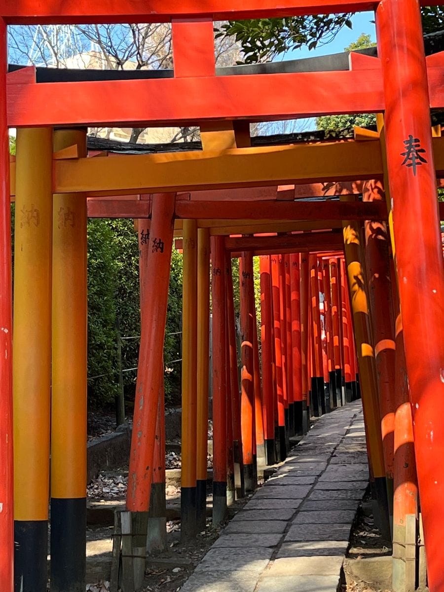 根津神社の亀