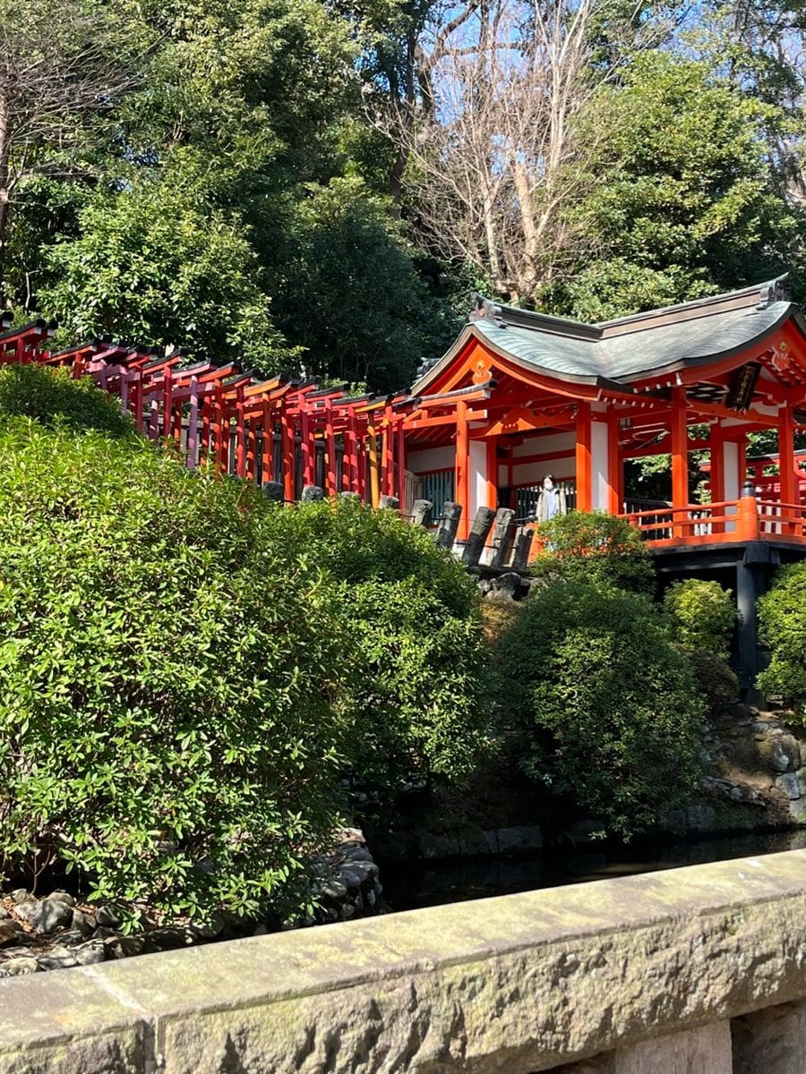 根津神社の亀