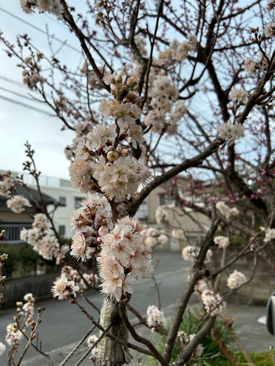 今年の１番は・・・誰❓（結果発表～🎉）