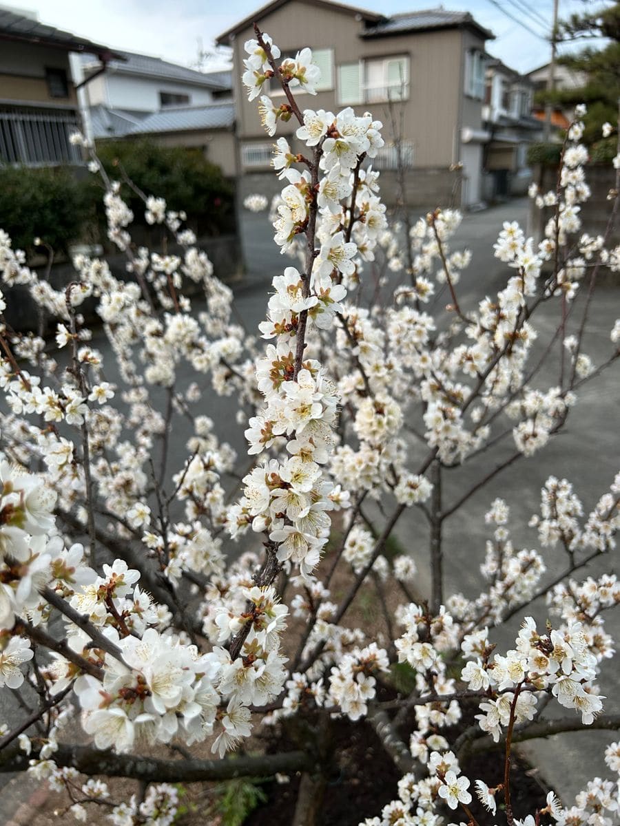 今年の１番は・・・誰❓（結果発表～🎉）