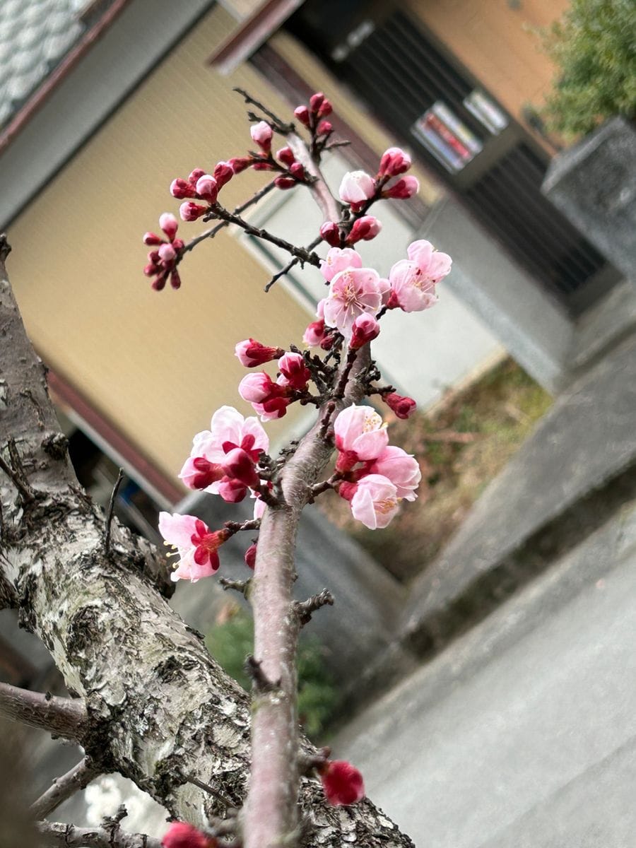 今年の１番は・・・誰❓（結果発表～🎉）