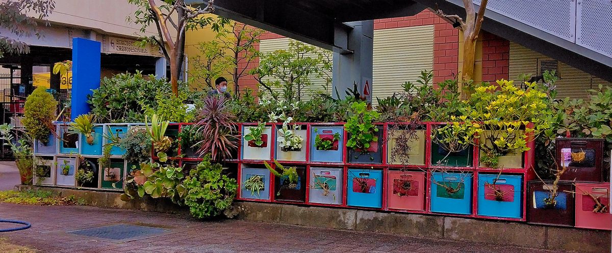 本日の作業　収納ボックコンテナ　植栽メンテ 苗購入