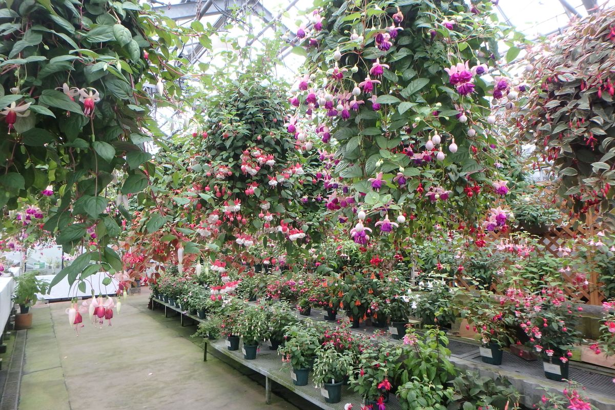 ボツ救済日記・広島市植物公園お花見日記３０（お散歩編）