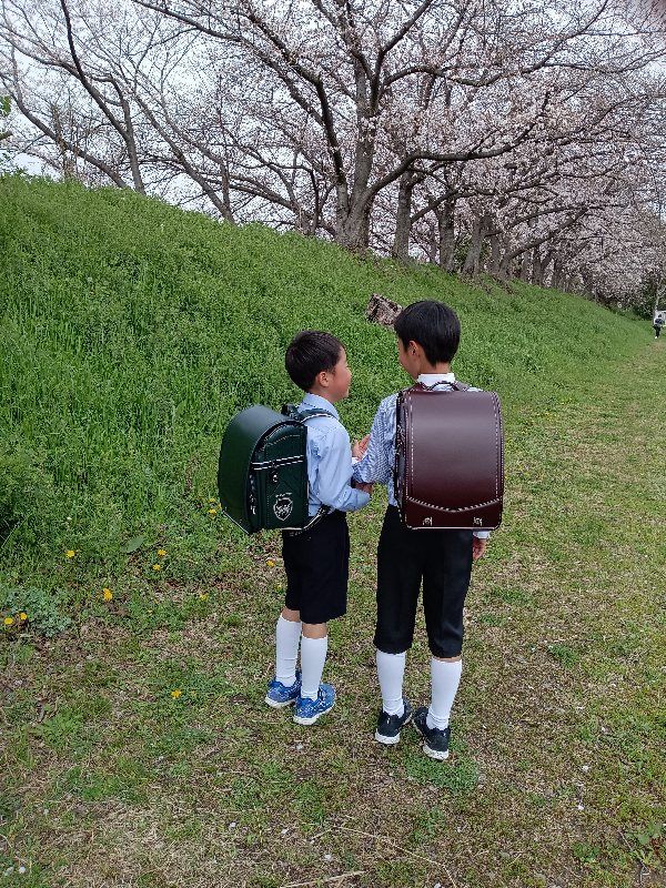 咲きました〜🌸