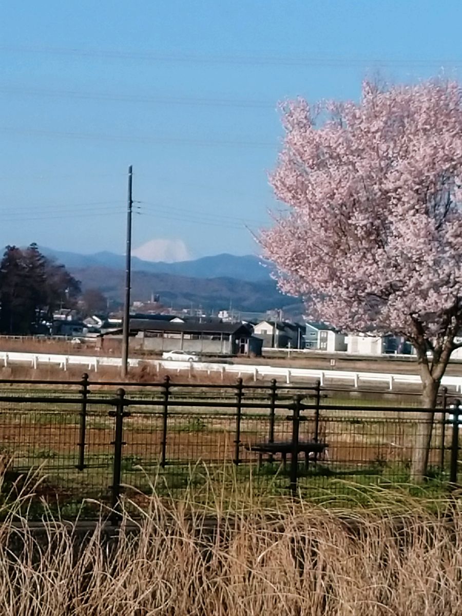 朝のウォーキングでみーつけた。