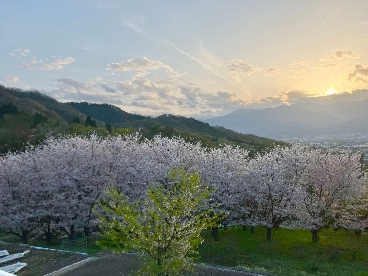 春休み〜丘の上まで歩いて温泉へ♪