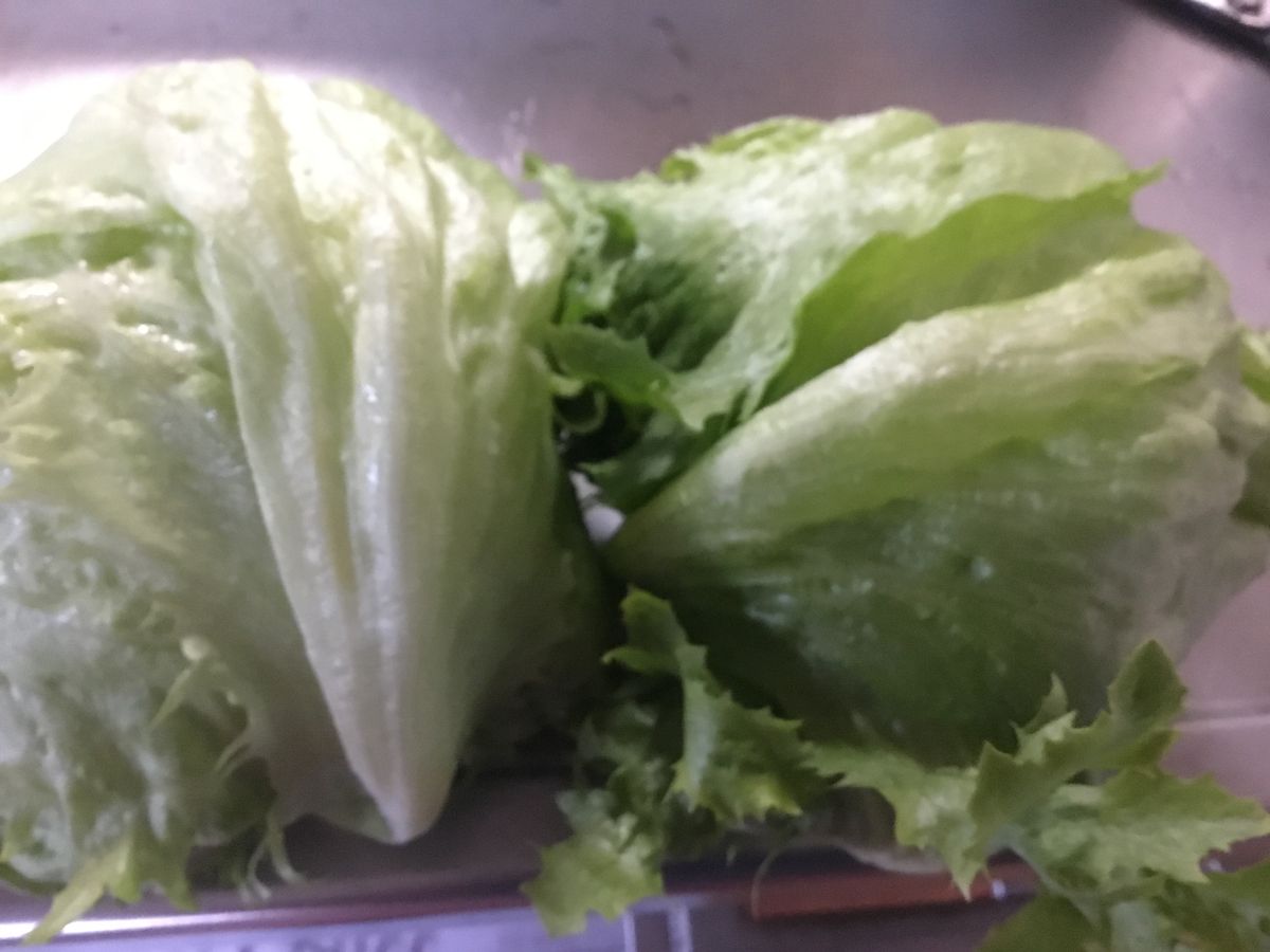 新鮮な野菜