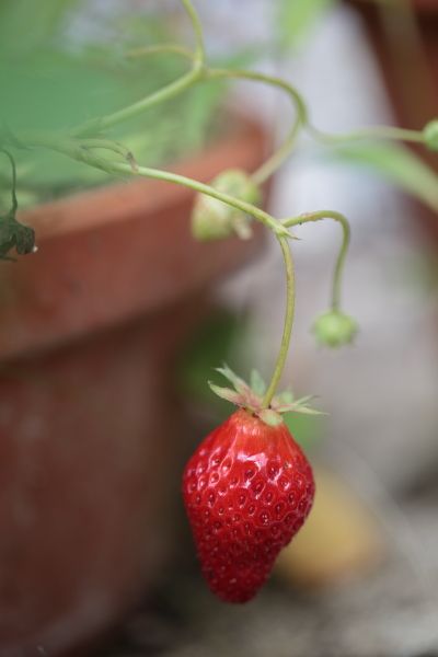 久々の雨