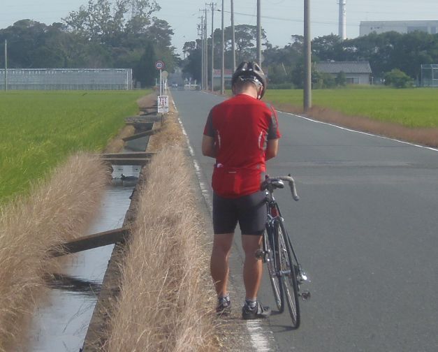 ウォーキング１７６日目