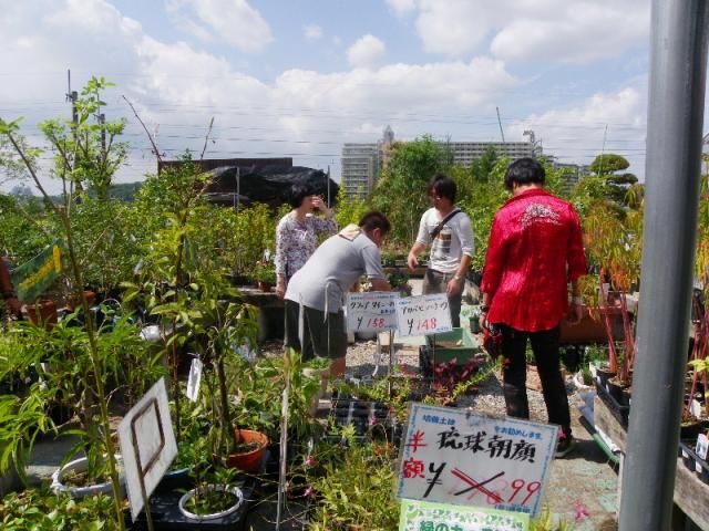 本日は某民放さんの園芸番組を収録しておりました。