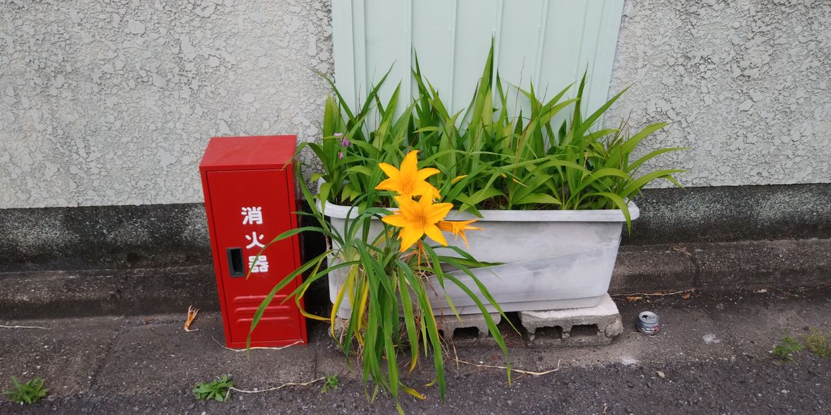 市役所の帰りに見つけた可愛いもの。