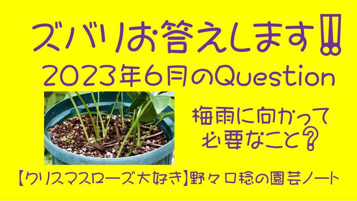 ズバリお答えします‼️　2023年6月の Question