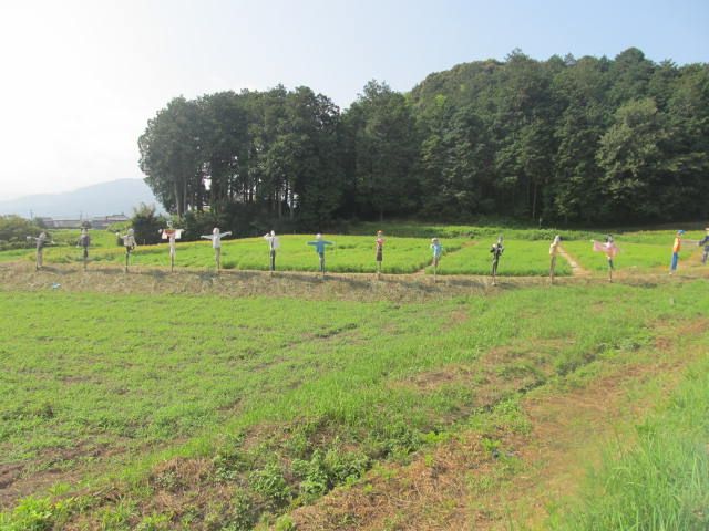 かかしのある風景