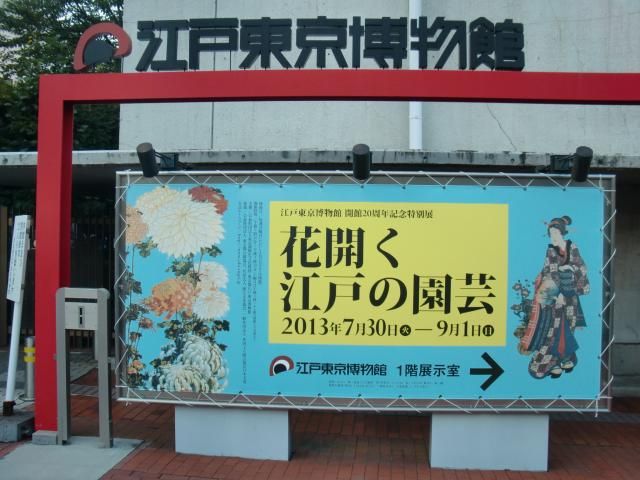 【元編集長のひとりごと】江戸東京博物館「花開く江戸の園芸」