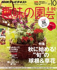 【テキスト発売情報】『趣味の園芸』『やさいの時間』『趣味の園芸ビギナーズ』10月号発売！