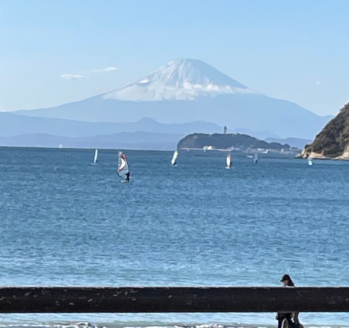 卵の殻のプランターでチューリップ