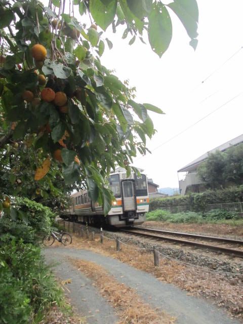 近隣探索　柿の電車の風景