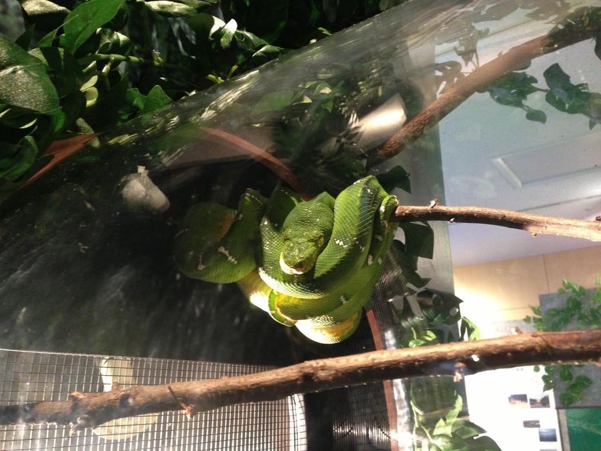 サンシャイン水族館 その１