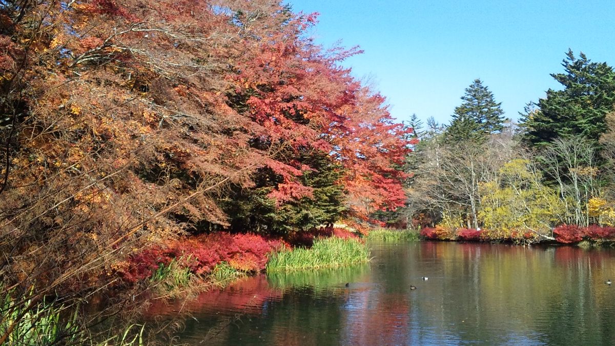 軽井沢・紅葉の名所へ行ってきました。終