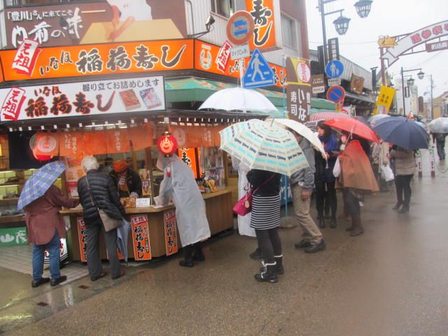 今朝沢山見たもの。雀のほかに・・