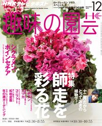 【テキスト発売情報】『趣味の園芸』『やさいの時間』12月号発売！